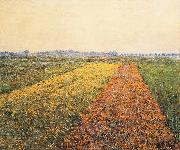 Gustave Caillebotte The Yellow Fields at Gennevilliers painting